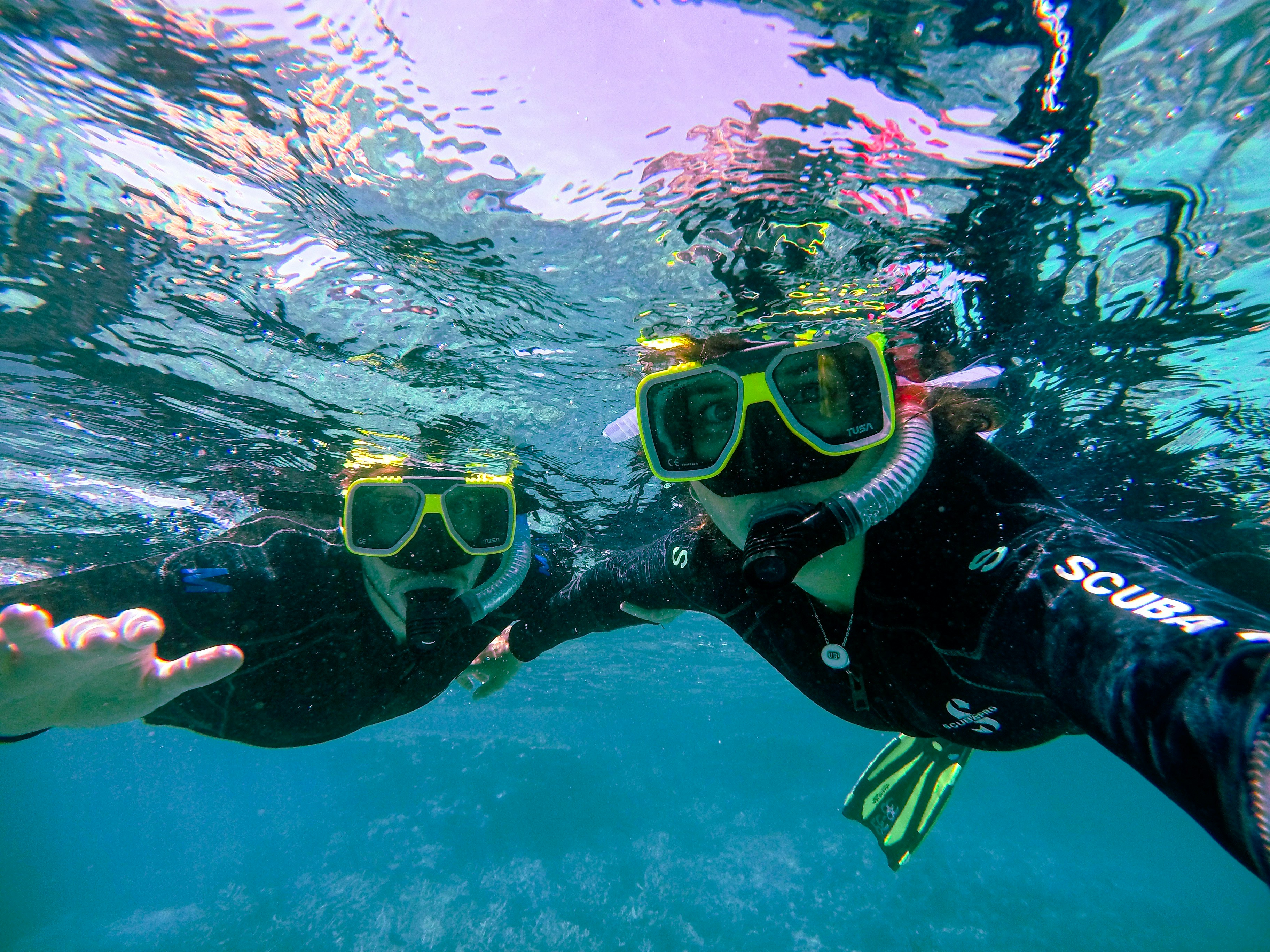 Thing To Do Tours, Excursions, and Cruises
